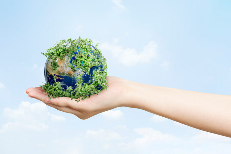 El Papel De EvoluSun En La Lucha Contra El Cambio Climático